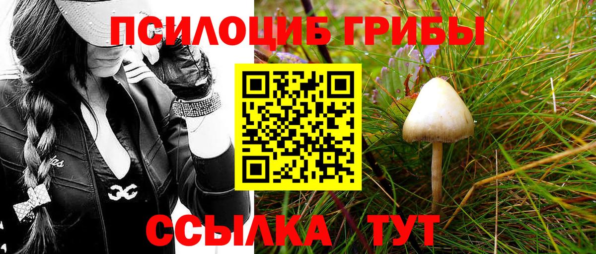 Псилоцибиновые грибы Cubensis Электросталь
